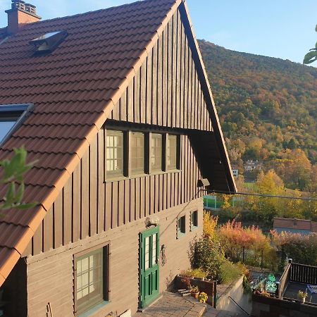 Villa Schontalblick à Neustadt an der Weinstraße Extérieur photo